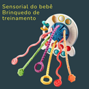 Brinquedo de Silicone Montessori